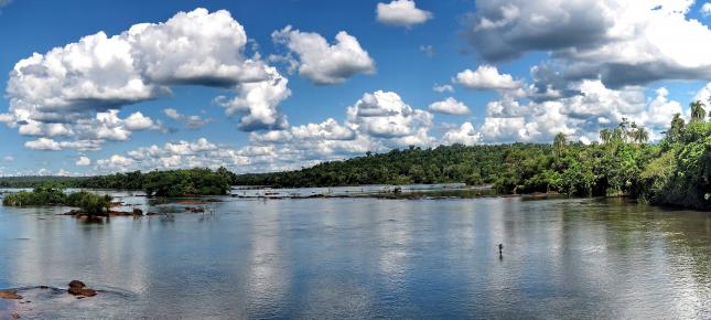 Amazonas Bild auf Leinwand