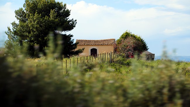 Baeume Bauernhaus