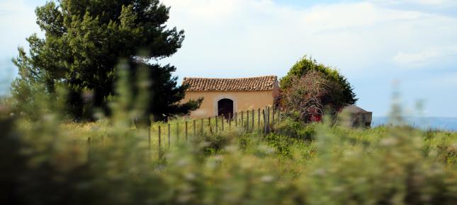 Baeume Bauernhaus Bild auf Leinwand