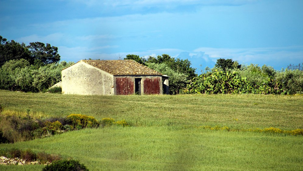 Bauernhaus Wiese Leinwand