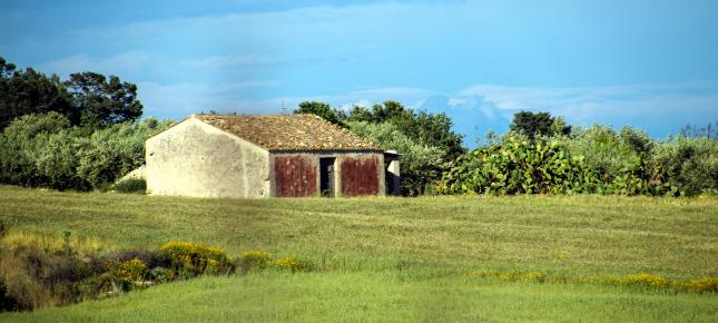 Bauernhaus Wiese Bild auf Leinwand