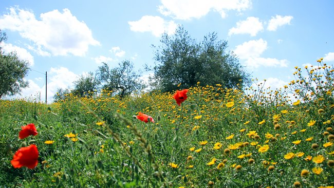 Entspannung Natur Entspannung Natur