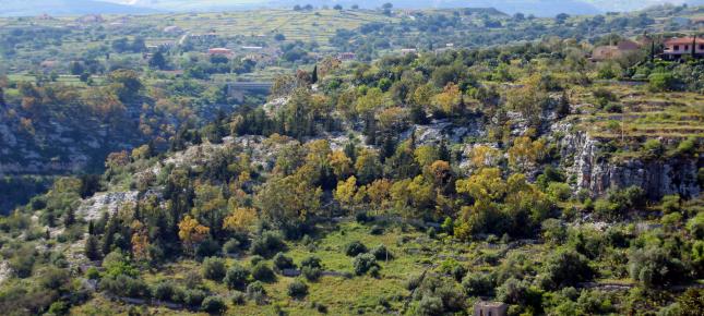 Horizont Tal Bild auf Leinwand