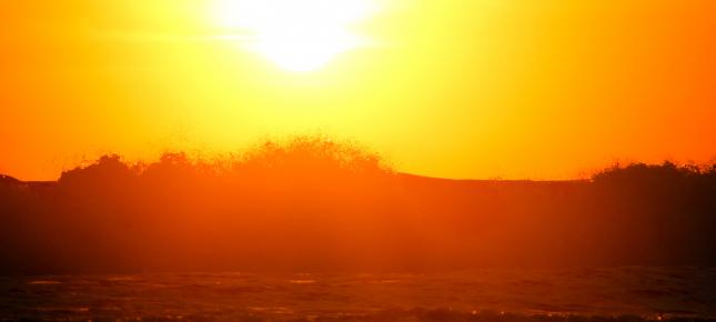 Jaco Sonnenuntergang Bild auf Leinwand