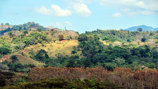 Landschaft Subtropen Landschaft Subtropen