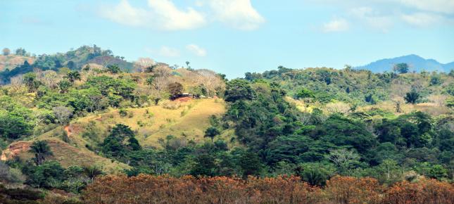 Landschaft Subtropen Bild auf Leinwand