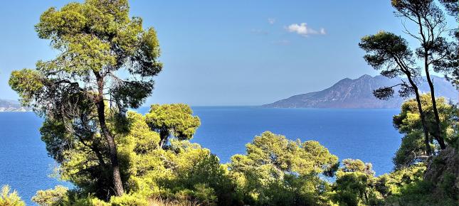 Mediterrane Landschaft Bild auf Leinwand