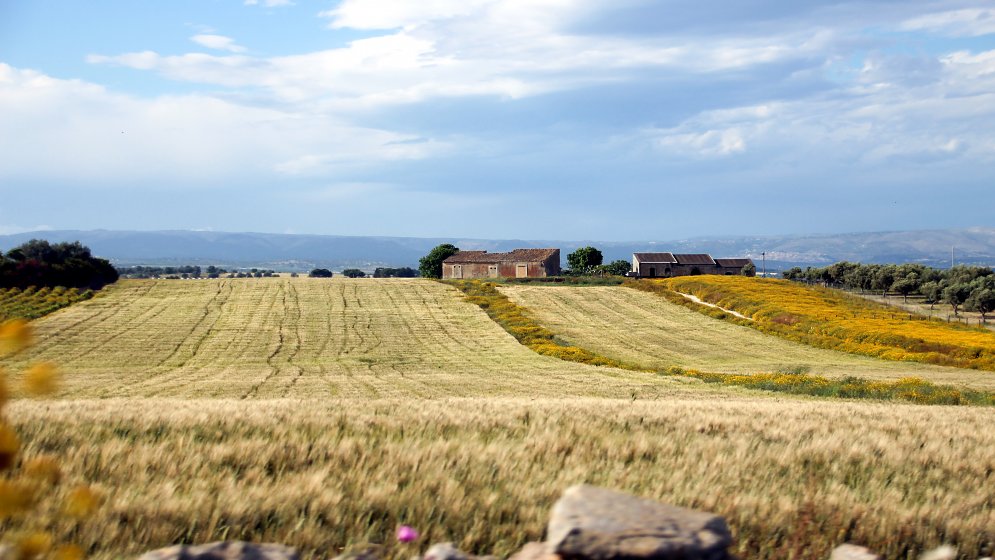 Mediterrane Sommer Leinwand