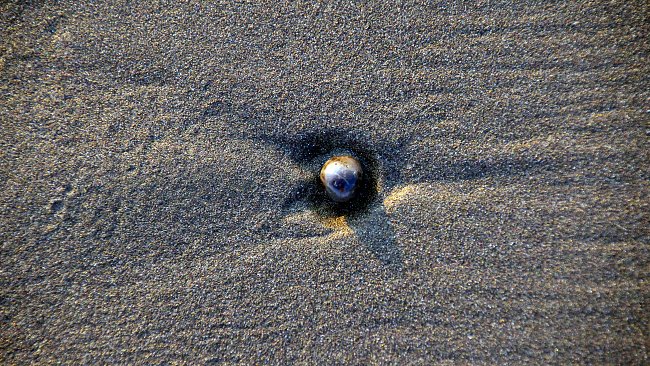 Muster Sand Muster Sand