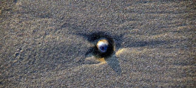 Muster Sand Bild auf Leinwand