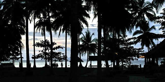Palmenstrand Palmenstrand