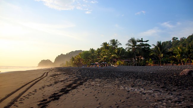 Paradies Subtropen