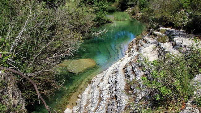 Quellwasser Bach Quellwasser Bach