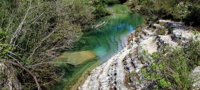 Quellwasser Bach Bild auf Leinwand