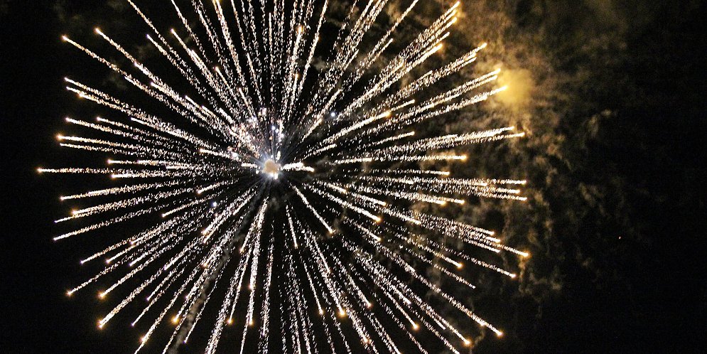 Silvester Leinwand