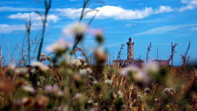 Sommer Mediterrane