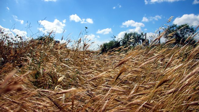 Sommer Sizilien Sommer Sizilien