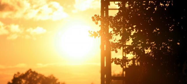 Sommerabend Bild auf Leinwand