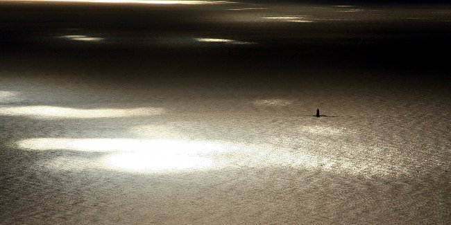 Sonnenstrahlen Sonnenstrahlen