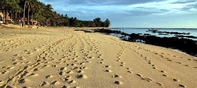 Spuren im Sand Bild auf Leinwand