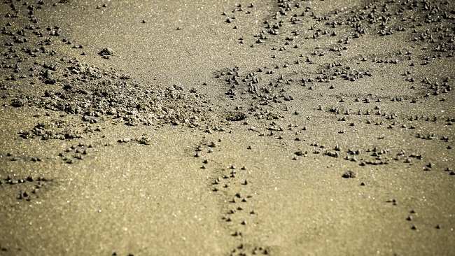 Strand Strand