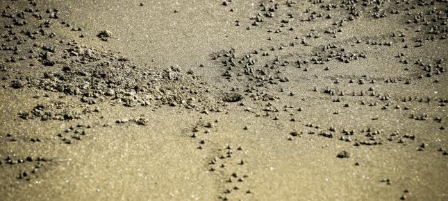 Strand Bild auf Leinwand