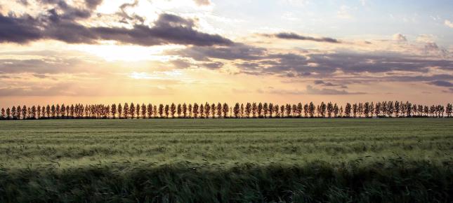 Symmetrie Bild auf Leinwand