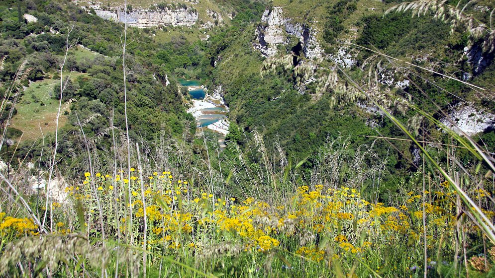 Tal Schlucht Leinwand