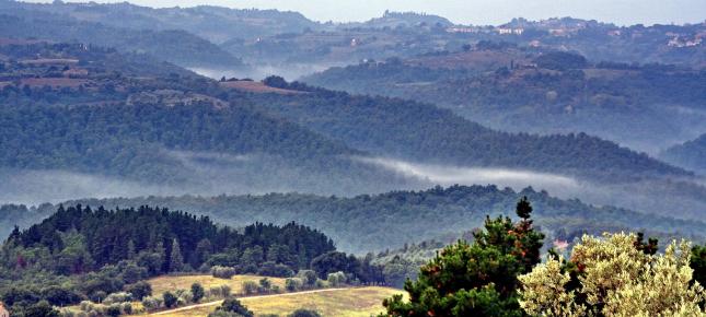 Toscana Bild auf Leinwand