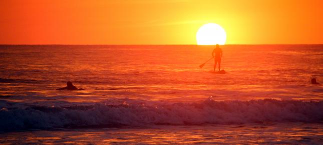 Urlaub Wassersport Surfer Bild auf Leinwand