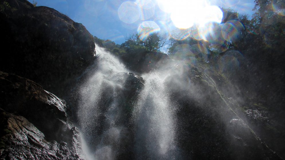 Wasserfall Subtropen Leinwand