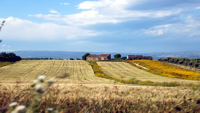 Weide Landschaft Weide Landschaft
