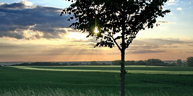 Weite Landschaft Weite Landschaft