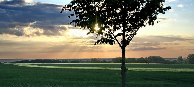 Weite Landschaft Bild auf Leinwand