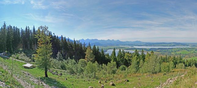 Bayern Seen Panorama Bild auf Leinwand