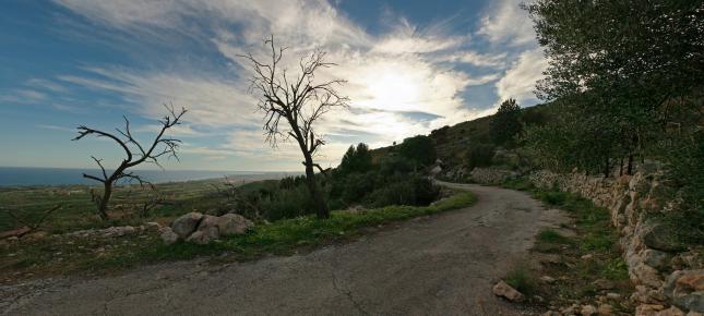 Bergweg Sizilien Bild auf Leinwand