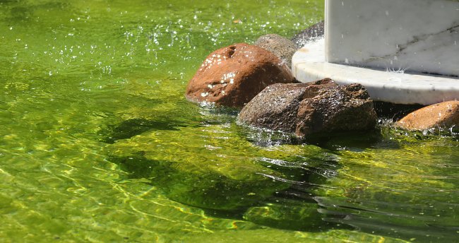 Brunnen Brunnen