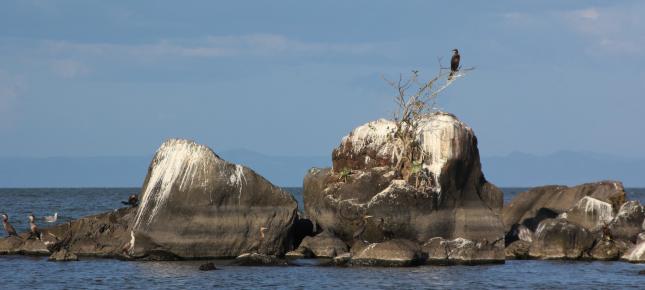 Felsen im Meer Bild auf Leinwand