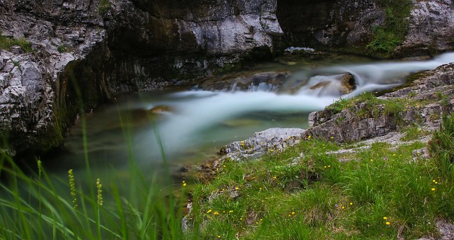 Frische Natur Frische Natur
