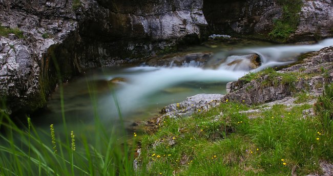 Frische Natur