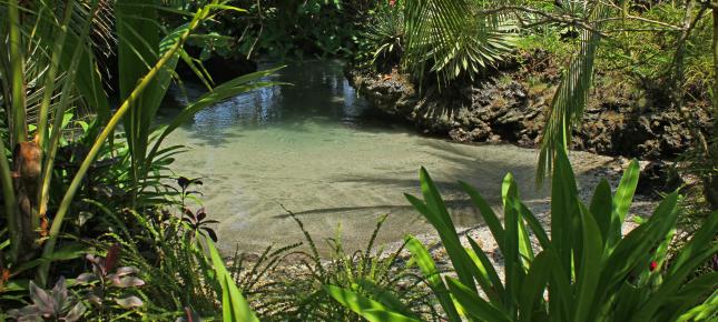 Naturbad Bild auf Leinwand