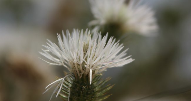 Naturschoenheit Naturschoenheit