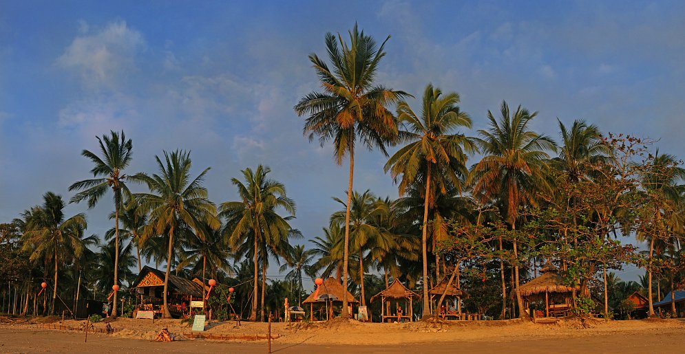 Palmen Strand Leinwand