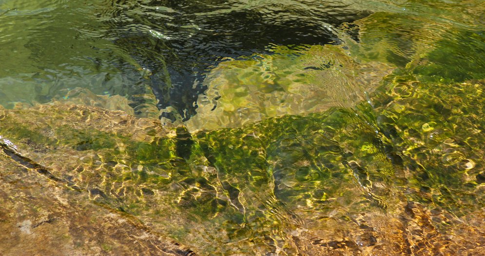 Quell des Lebens Leinwand