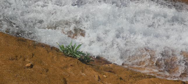 Rauschendes Wasser Bild auf Leinwand