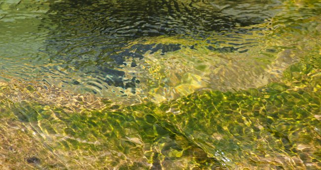 Reines Wasser Reines Wasser