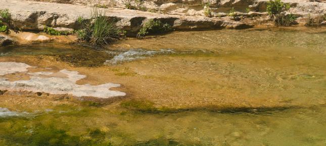 See Ufer Bild auf Leinwand