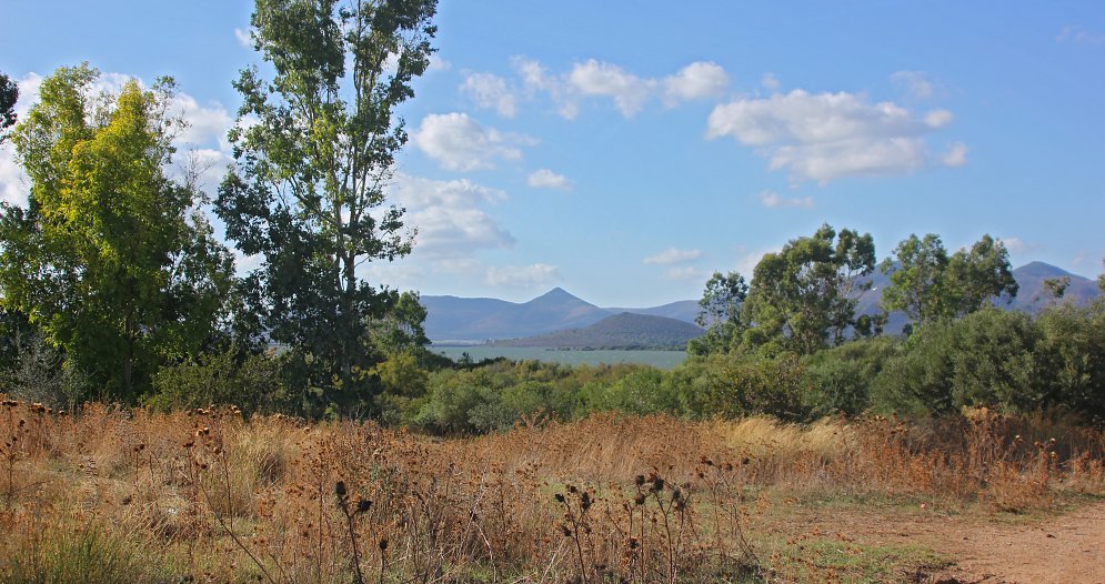 See auf Sardinen Leinwand