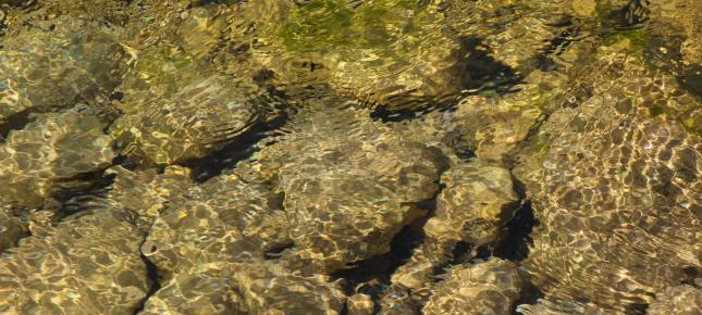 Steine im Bach Bild auf Leinwand