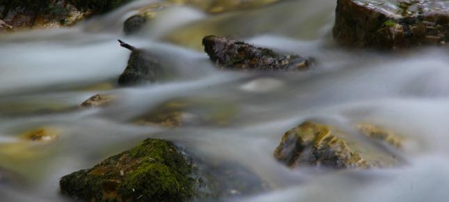Steine im Wasser Bild auf Leinwand
